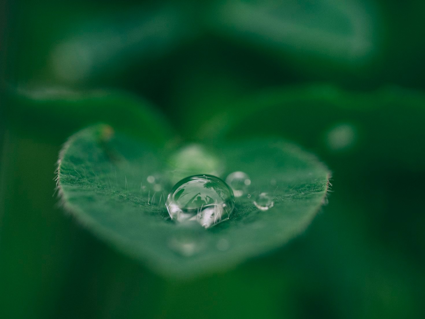 Mindfulness: una guida per principianti
